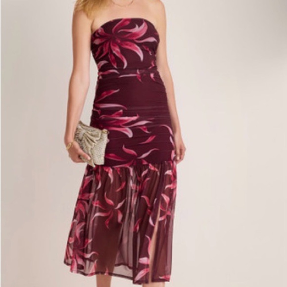 NWT Francesca's Floral Mesh Strapless Midi Dress